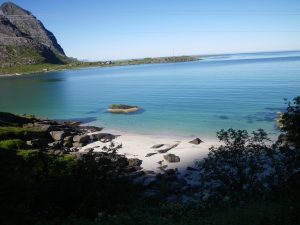 Lofoten beach