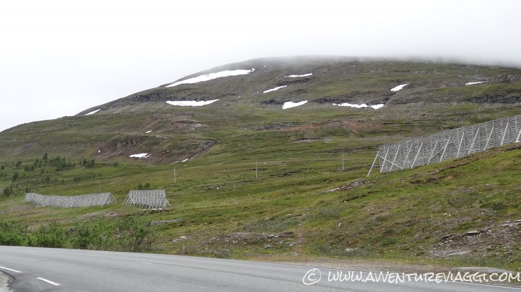 circolo poalre artico