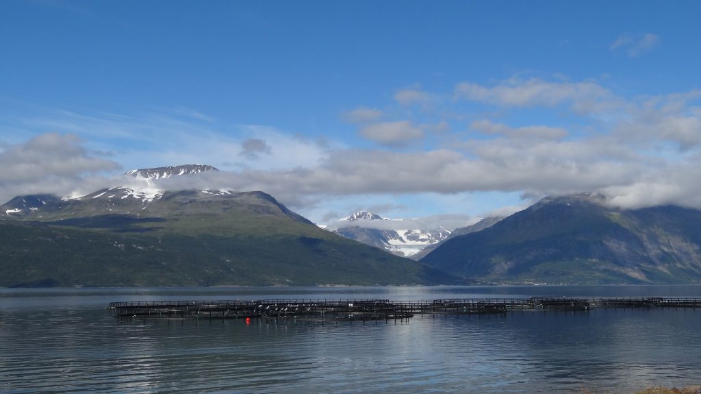 ghiacciaio norvegese