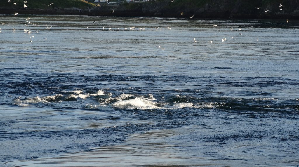 i gorghi di saltstrauman