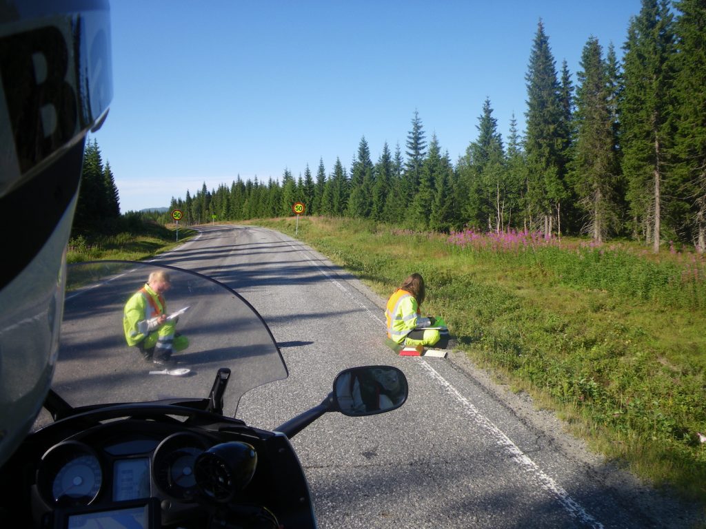 lavori in corso in norvegia