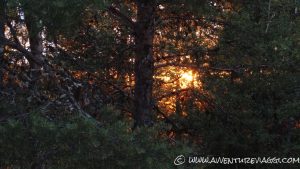 sole di mezzanotte a Inari