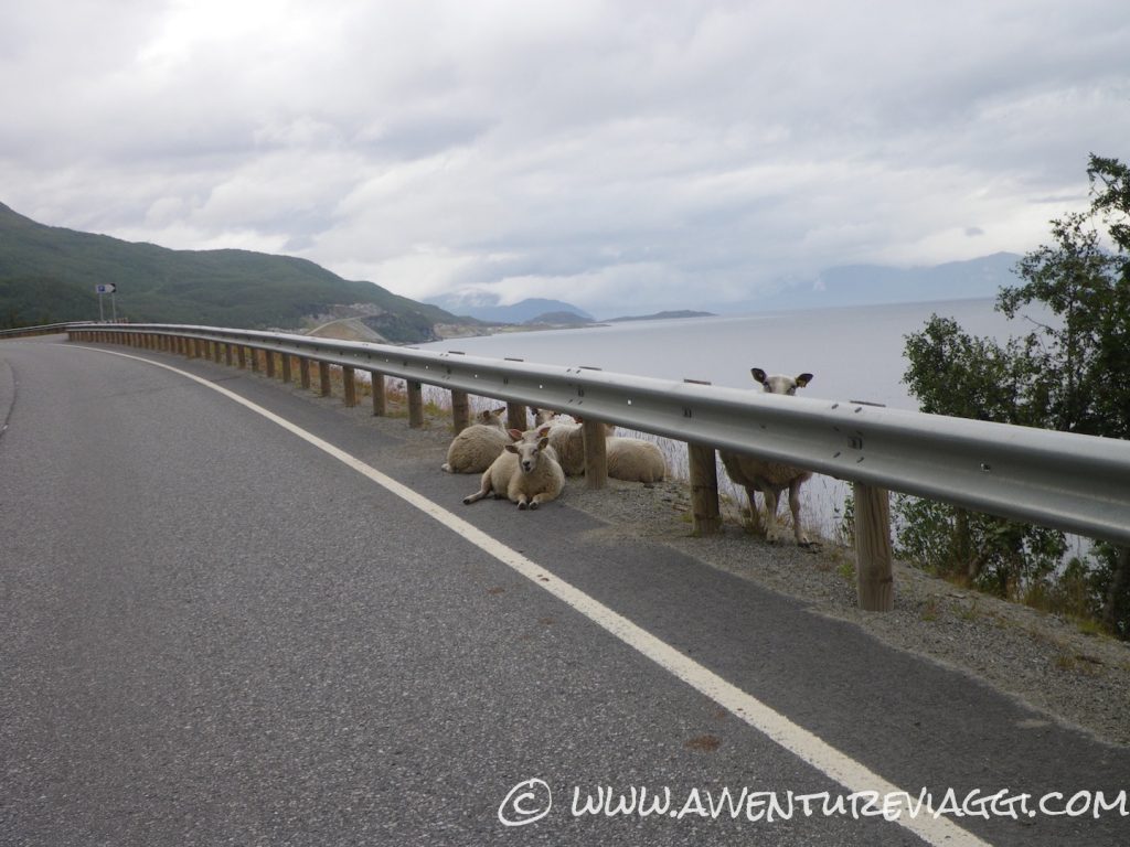 spettatori del ns capo nord in moto