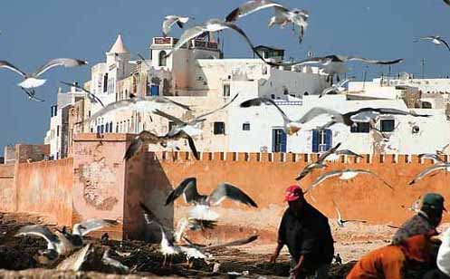  il porto di Essaouira