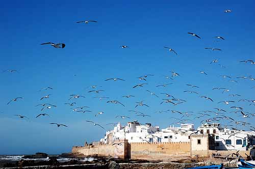 baia di Essaouiria