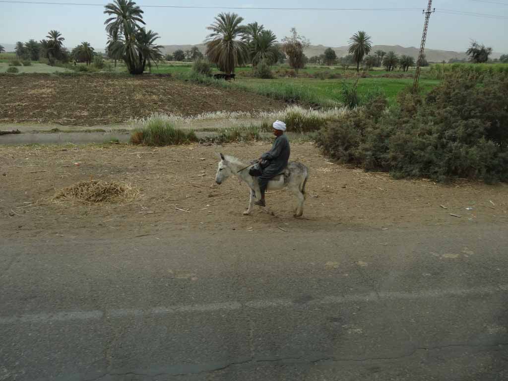  mezzi di locomozione a Luxor