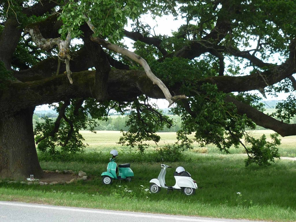 Vespa tour val d'orcia 3