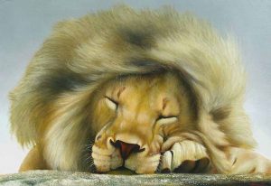 72ff19c0e81eeeaf49ddc1bb5dbb590c