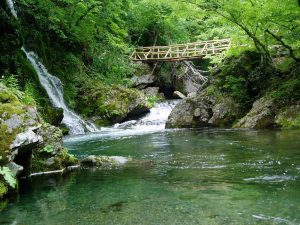 NP-C.BALKAN-Ecotrail-1