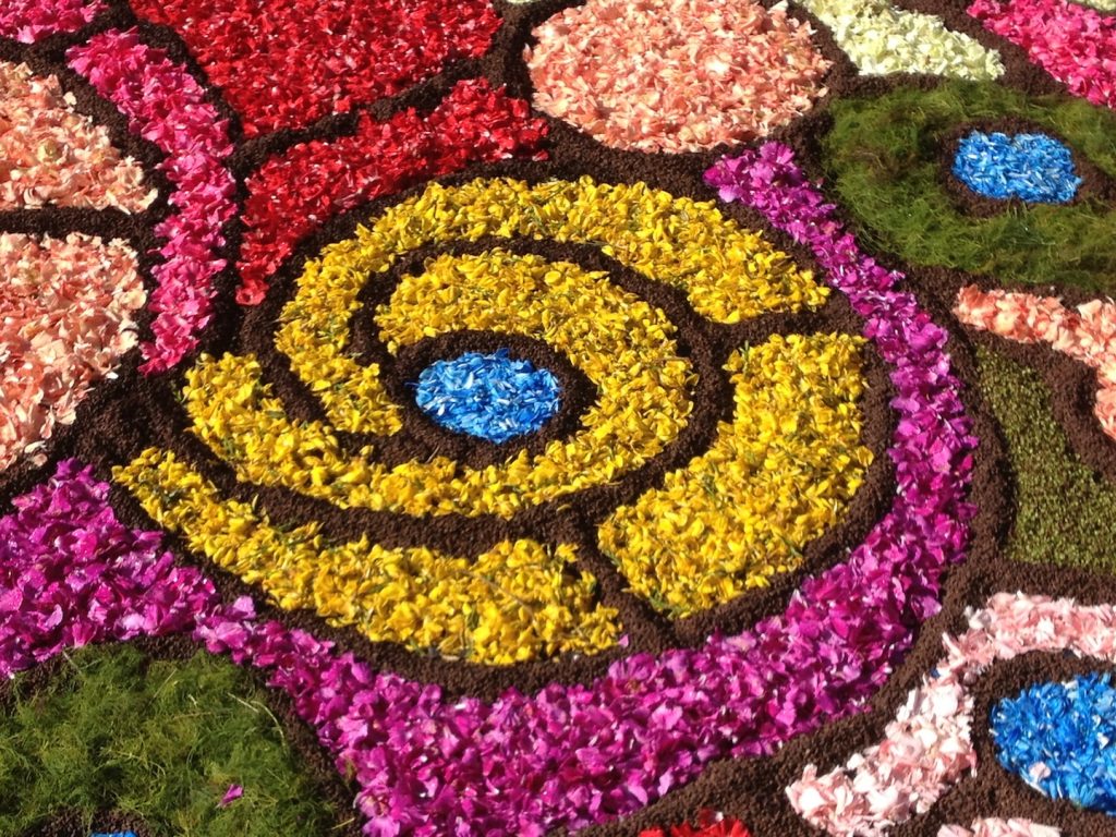 disegni con petali di fiore