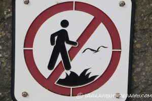 attento a dove metti i piedi alle cliff of moher