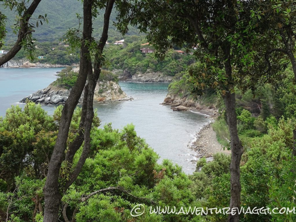scorcio siola d'Elba