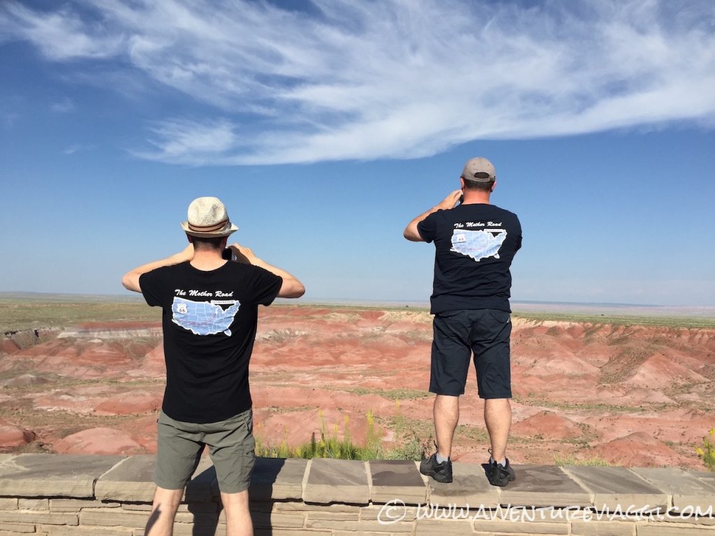 pics on the petrified forest